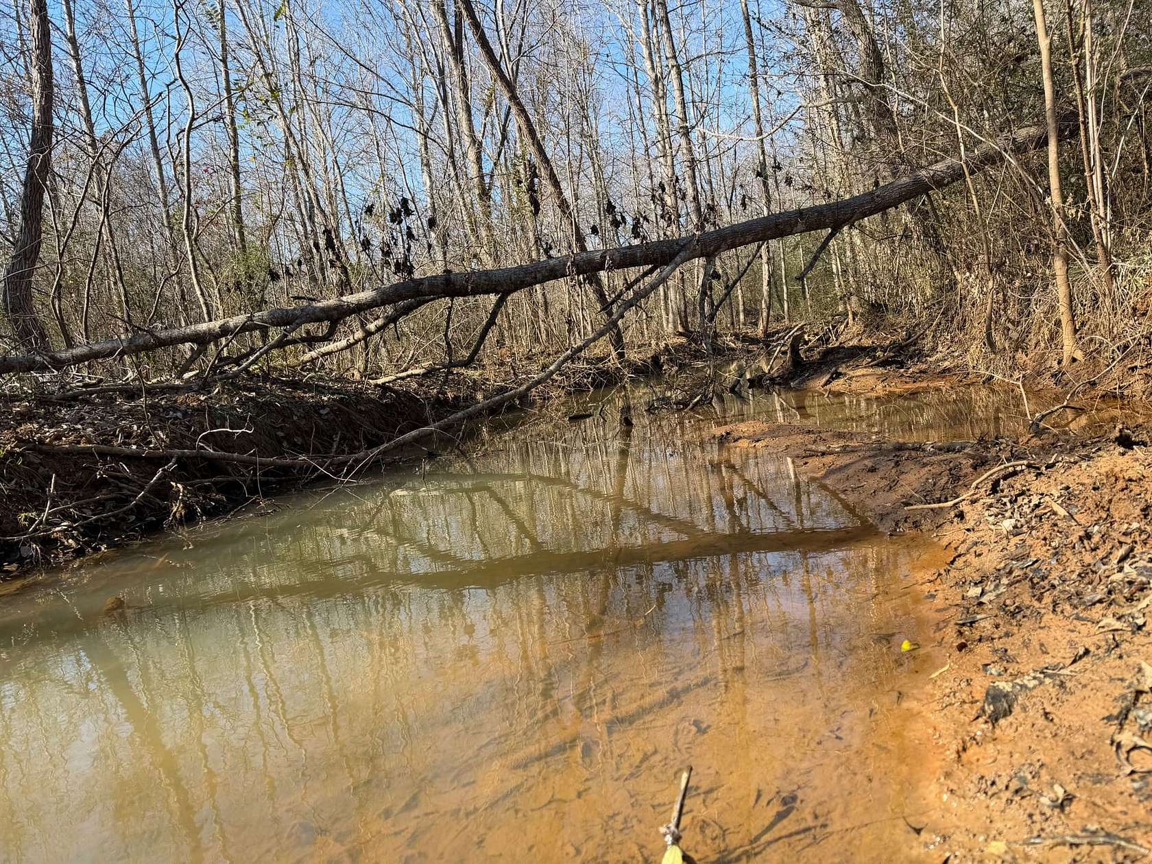 31 Acres of Recreational Land for Sale in Ben Wheeler, Texas