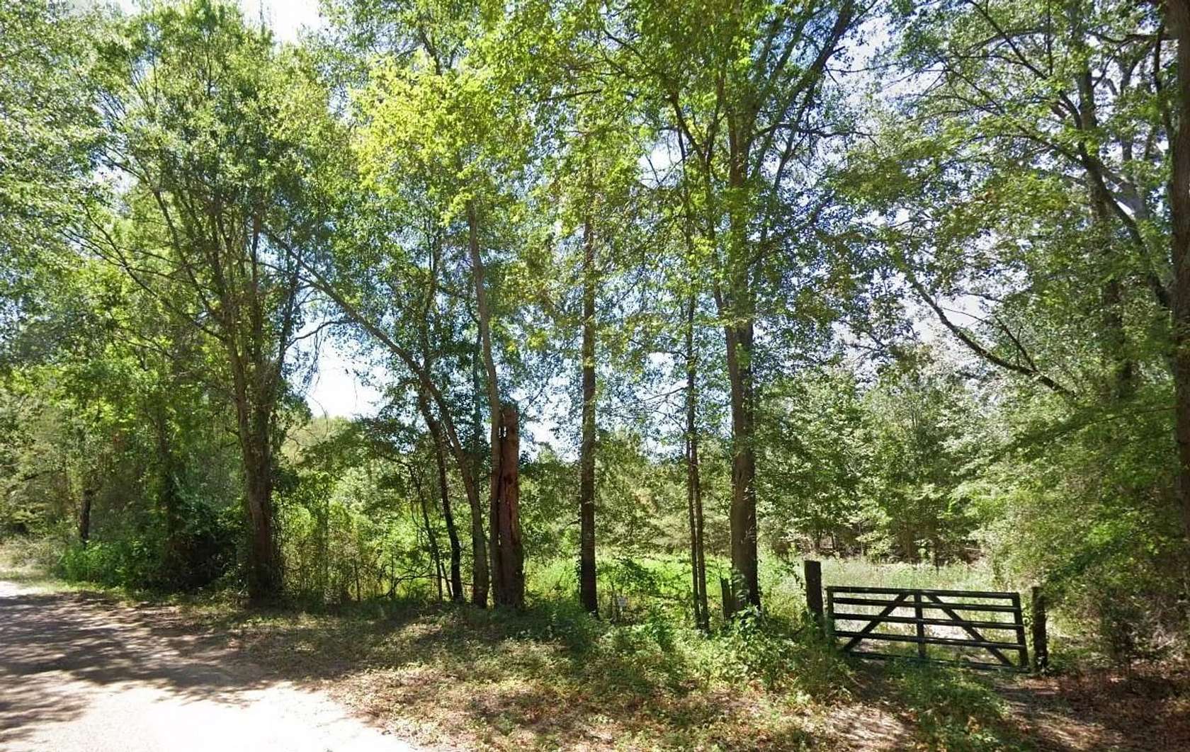 31 Acres of Recreational Land for Sale in Ben Wheeler, Texas