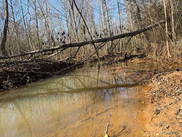 31 Acres of Recreational Land for Sale in Ben Wheeler, Texas