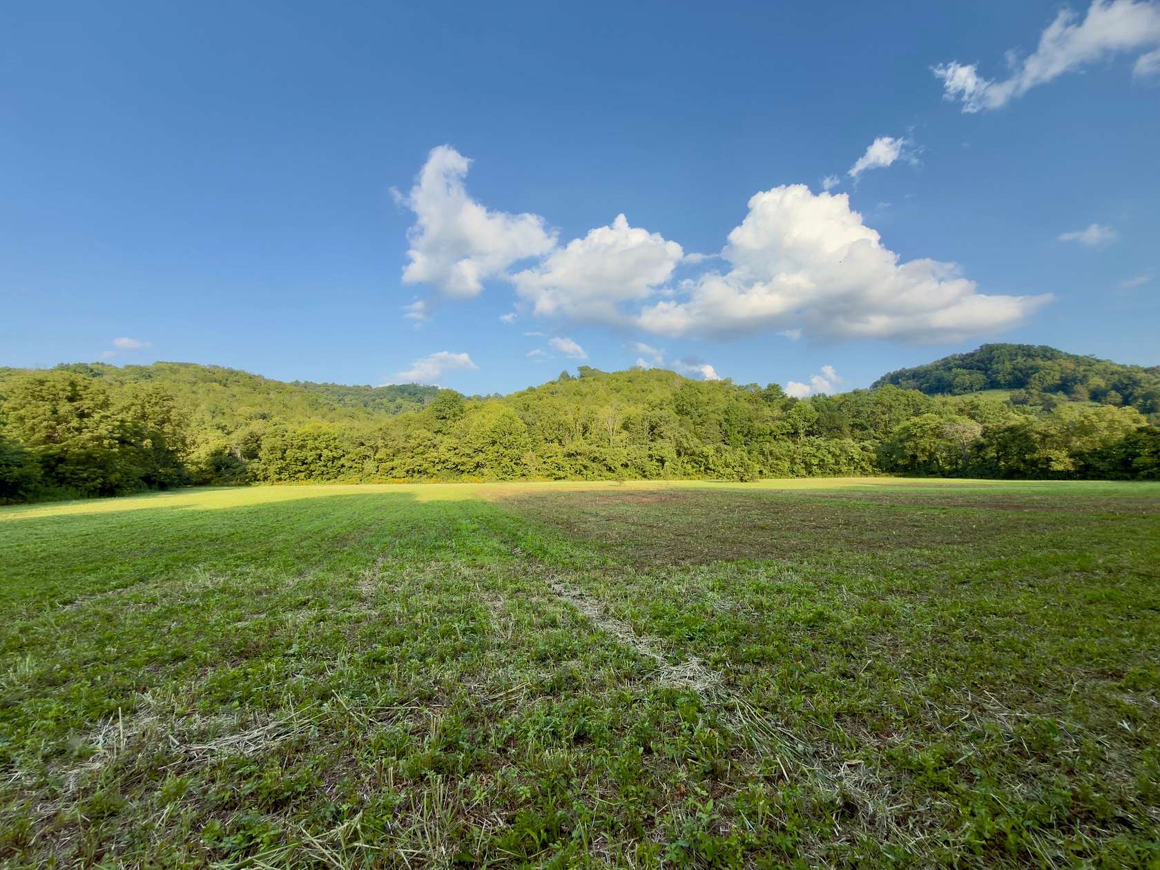 107 Acres of Land for Sale in Woodbury, Tennessee