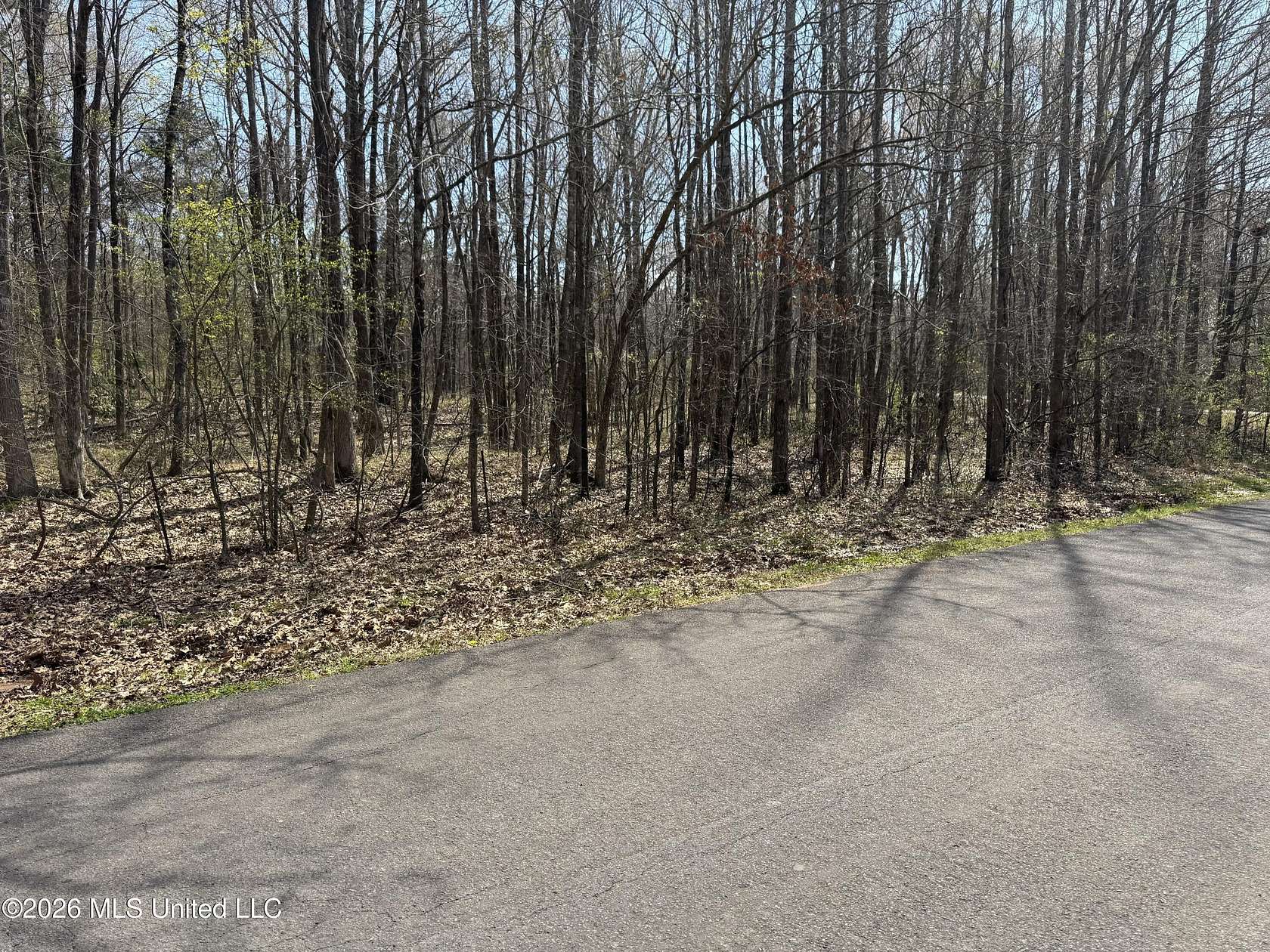 2.7 Acres of Residential Land for Sale in Hernando, Mississippi