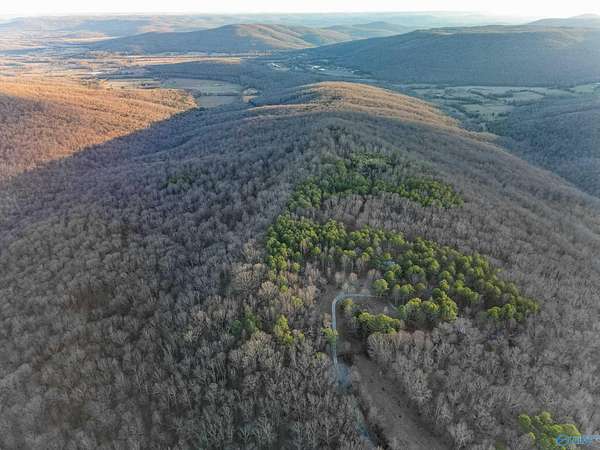 69 Acres of Recreational & Residential Land for Sale in Woodville, Alabama