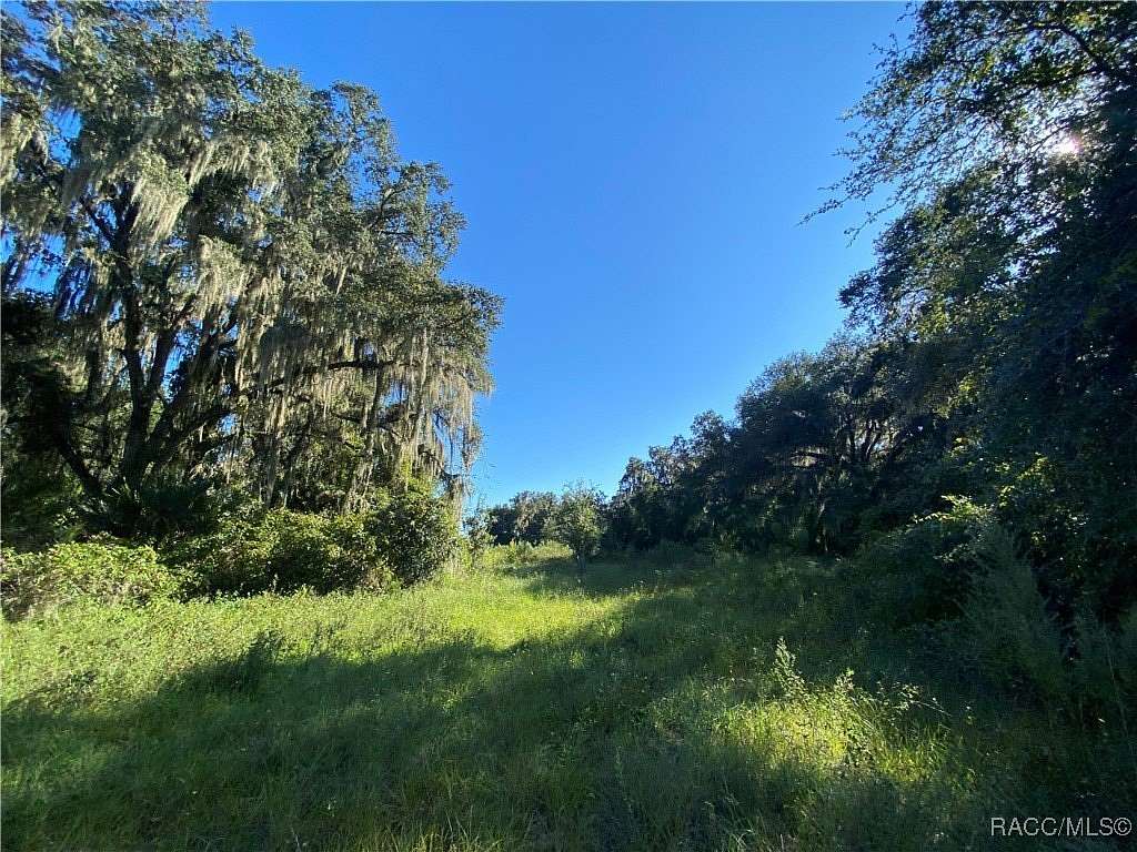 18.7 Acres of Land for Sale in Floral City, Florida