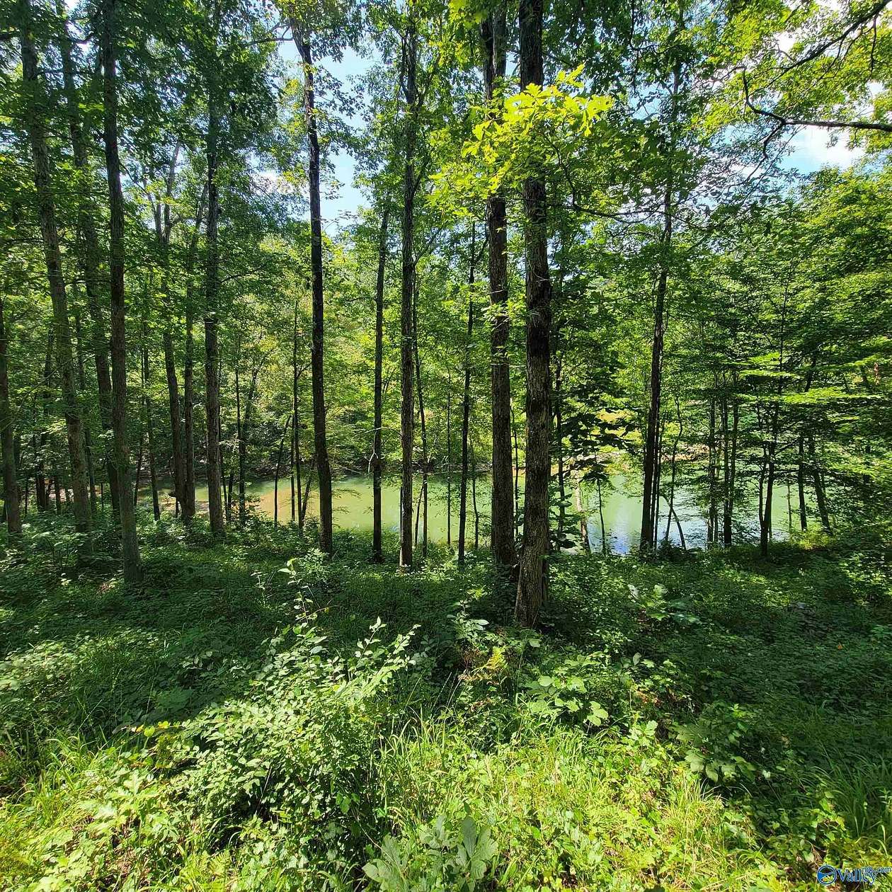 0.8 Acres of Land for Sale in Arley, Alabama