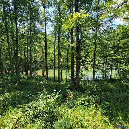 0.8 Acres of Land for Sale in Arley, Alabama