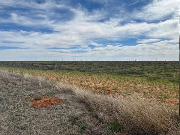 12 Acres of Land for Sale in Abernathy, Texas