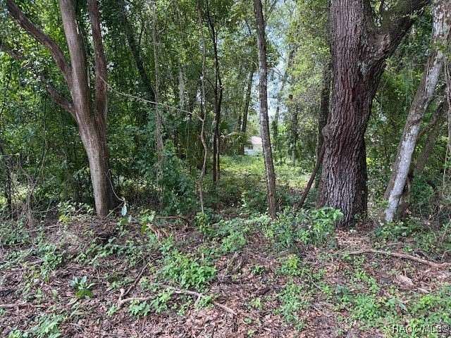 0.22 Acres of Residential Land for Sale in Inverness, Florida
