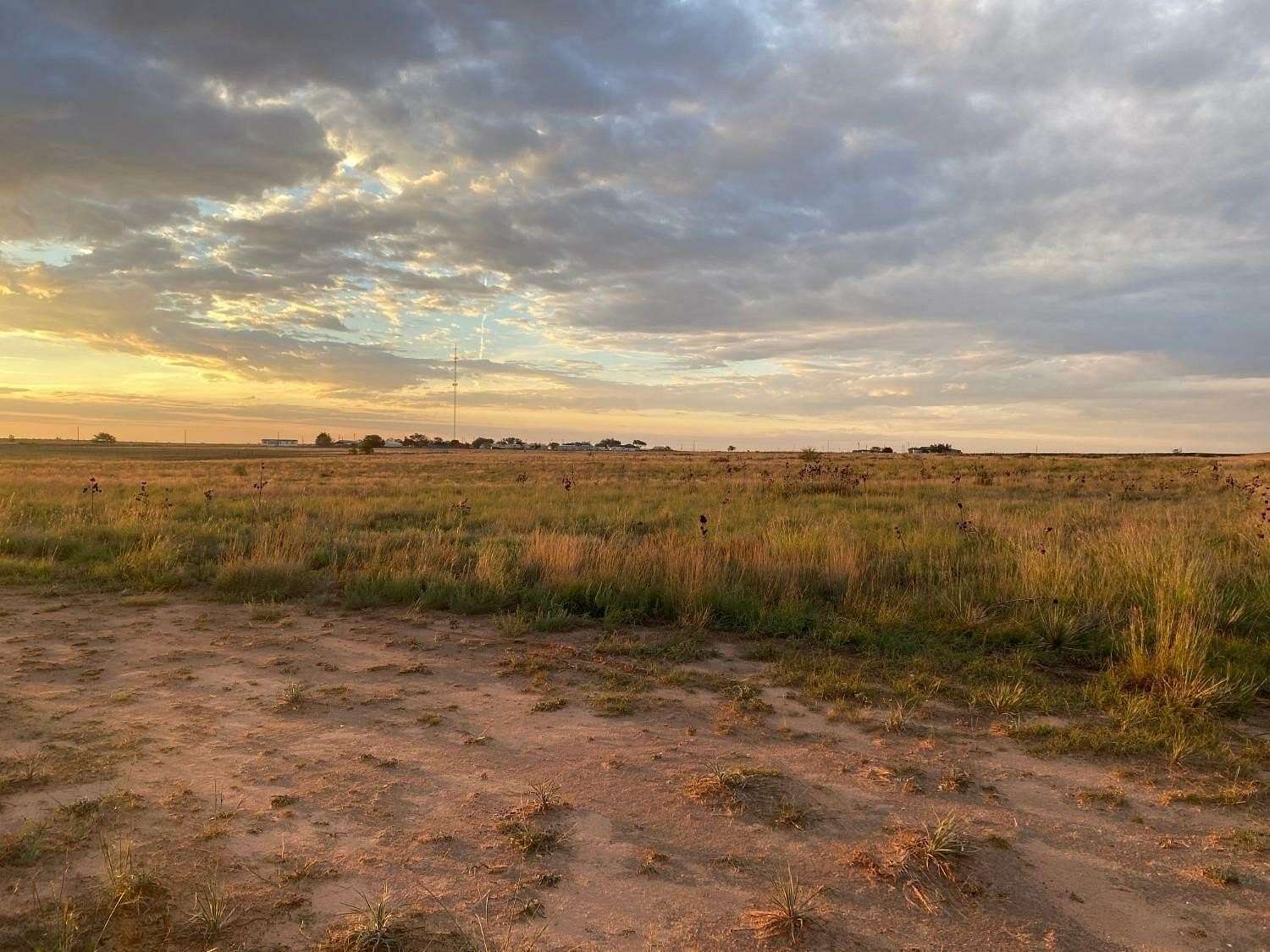 26.3 Acres of Land for Sale in Smyer, Texas