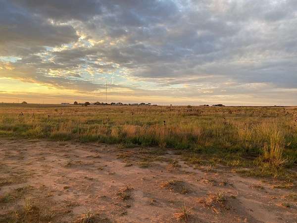 26.3 Acres of Land for Sale in Smyer, Texas