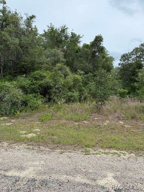 0.23 Acres of Residential Land for Sale in Citrus Springs, Florida