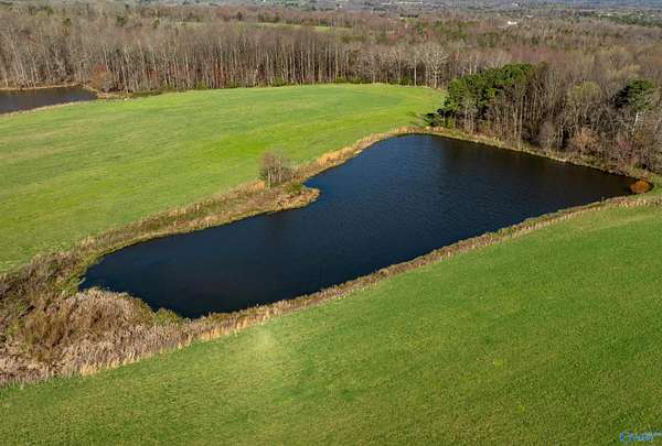 85 Acres of Agricultural Land for Auction in Ider, Alabama