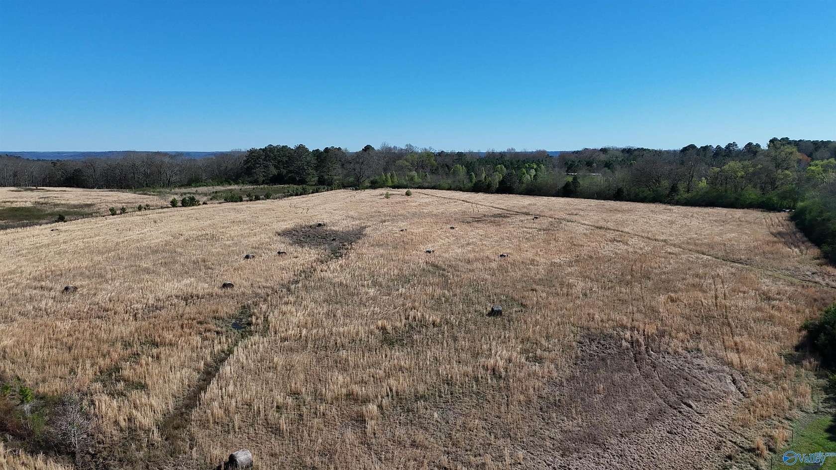 43 Acres of Land for Sale in Grant, Alabama