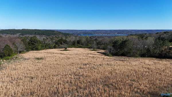 25 Acres of Recreational & Residential Land for Sale in Grant, Alabama