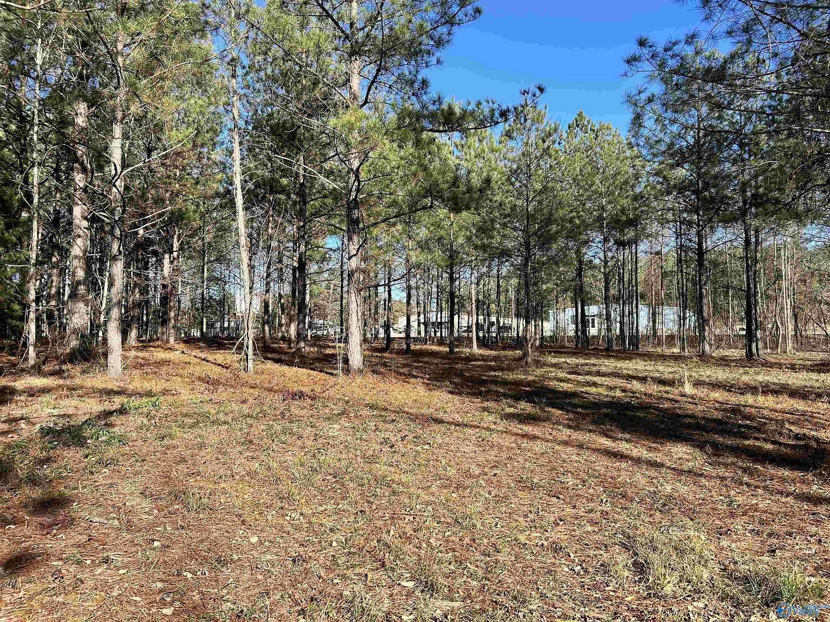 5.6 Acres of Commercial Land for Sale in Centre, Alabama