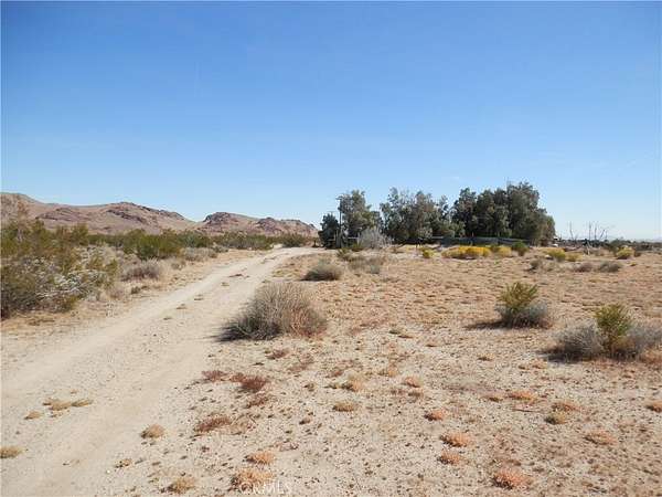 19 Acres of Land for Auction in Rosamond, California