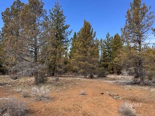 40 Acres of Recreational Land for Sale in Sprague River, Oregon