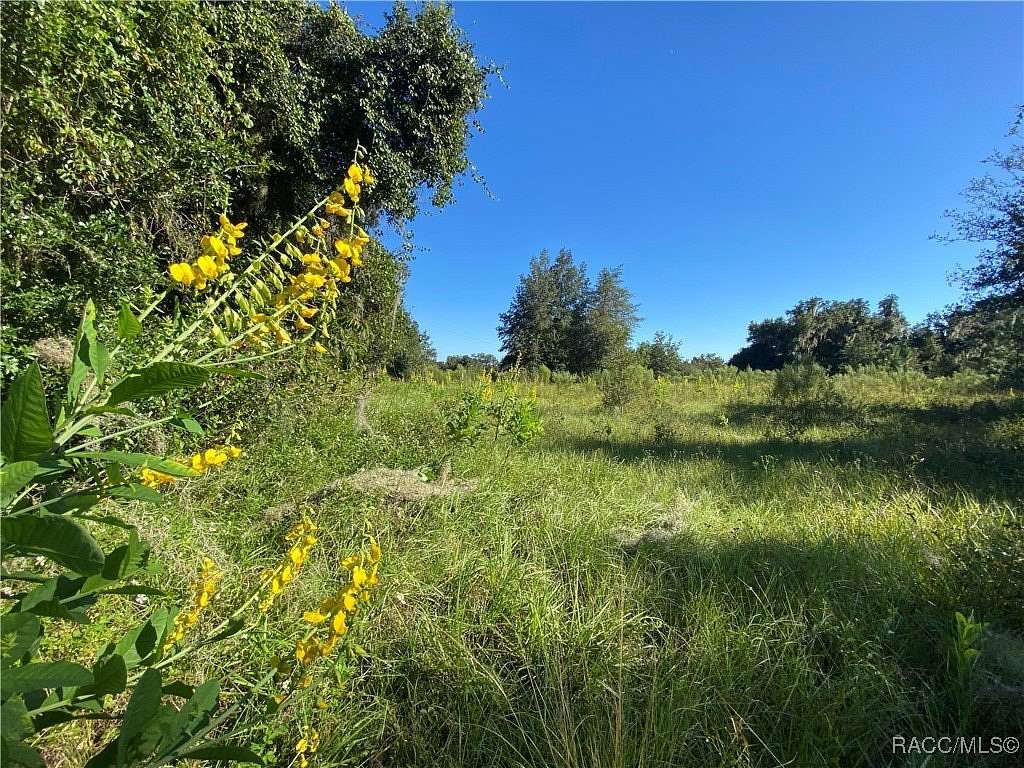 18.1 Acres of Land for Sale in Floral City, Florida