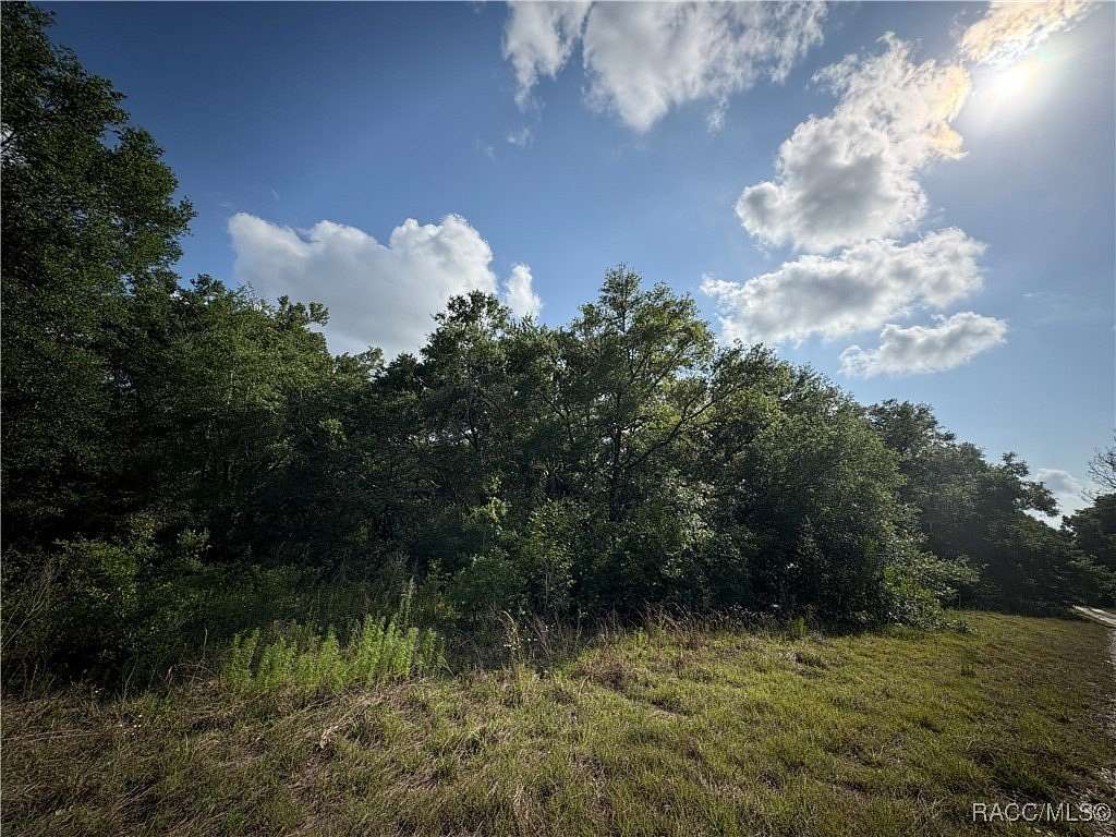 0.22 Acres of Land for Sale in Inverness, Florida