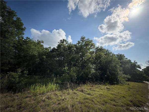0.22 Acres of Land for Sale in Inverness, Florida