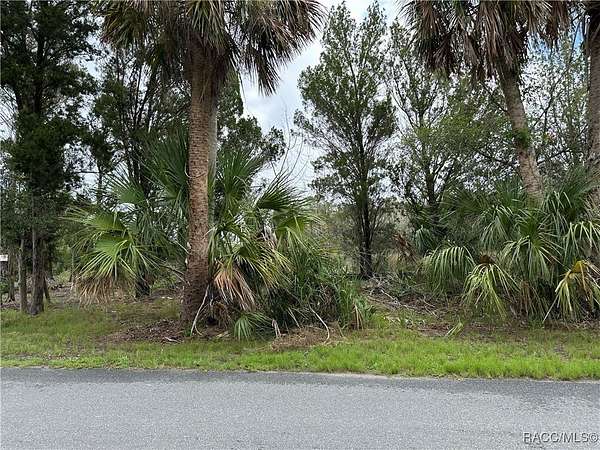 0.23 Acres of Land for Sale in Homosassa, Florida