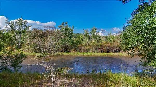 1.5 Acres of Land for Sale in Floral City, Florida