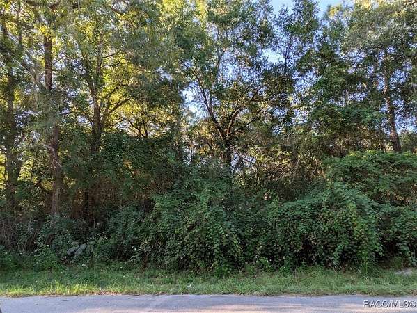 0.22 Acres of Residential Land for Sale in Inverness, Florida