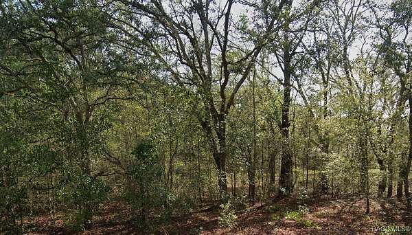 0.28 Acres of Residential Land for Sale in Dunnellon, Florida