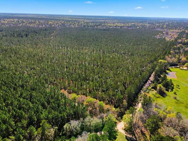 260 Acres of Recreational & Residential Land for Sale in Sour Lake, Texas