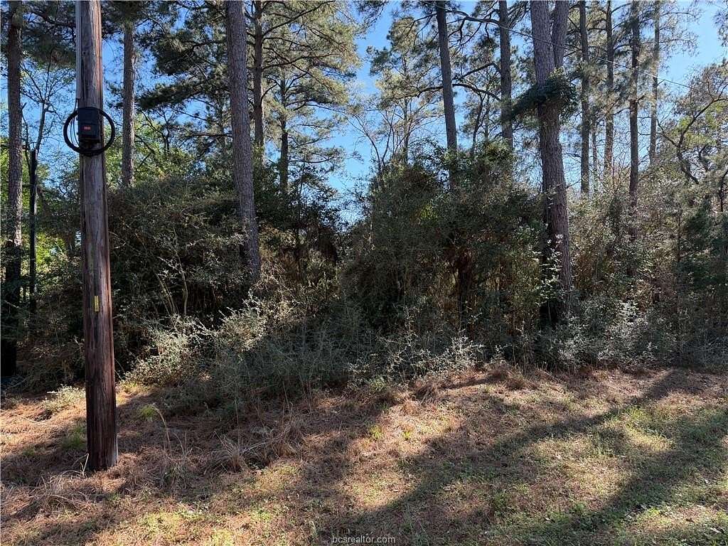 25.2 Acres of Recreational Land for Sale in Bedias, Texas