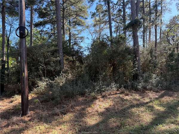 25.2 Acres of Recreational Land for Sale in Bedias, Texas