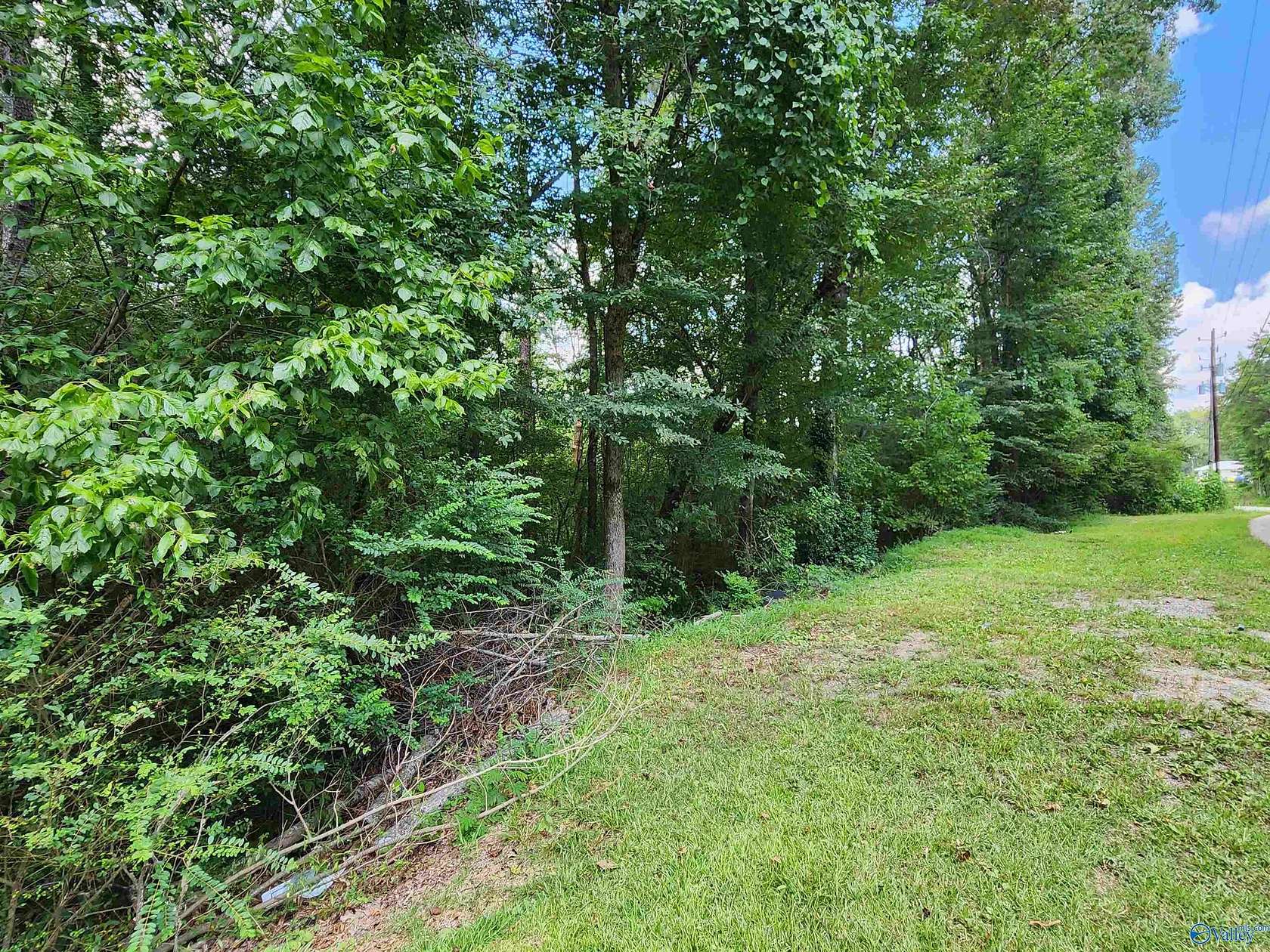 2.6 Acres of Residential Land for Sale in Oneonta, Alabama