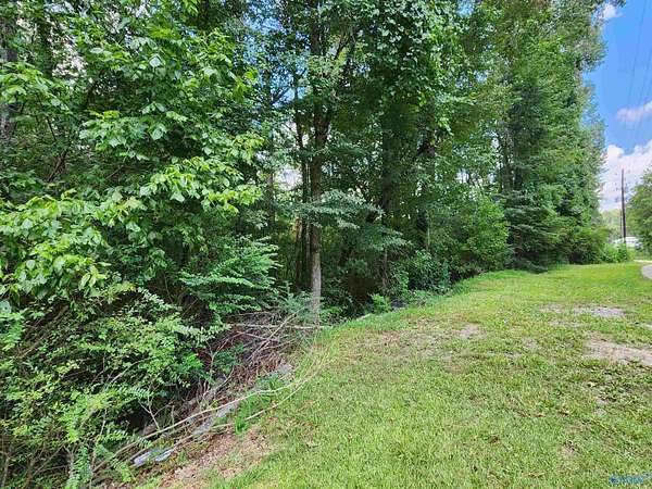 2.6 Acres of Residential Land for Sale in Oneonta, Alabama
