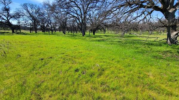 10 Acres of Residential Land for Sale in Cottonwood, California