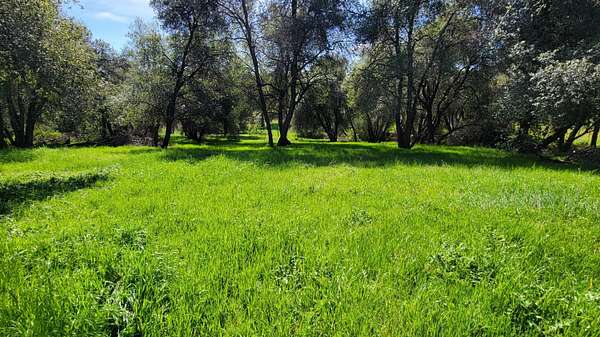 7.9 Acres of Residential Land for Sale in Igo, California