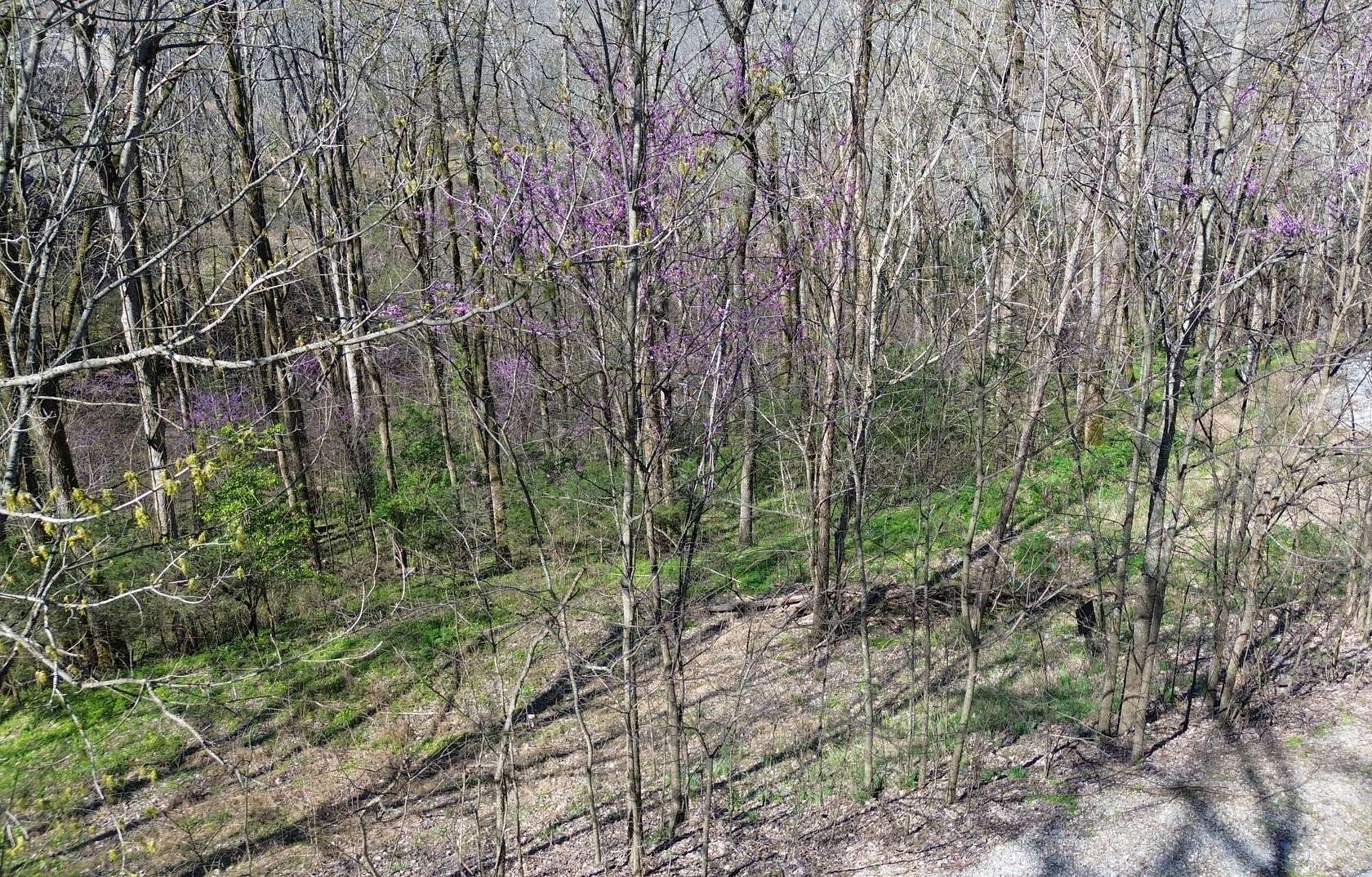 0.63 Acres of Residential Land for Sale in Smithville, Tennessee