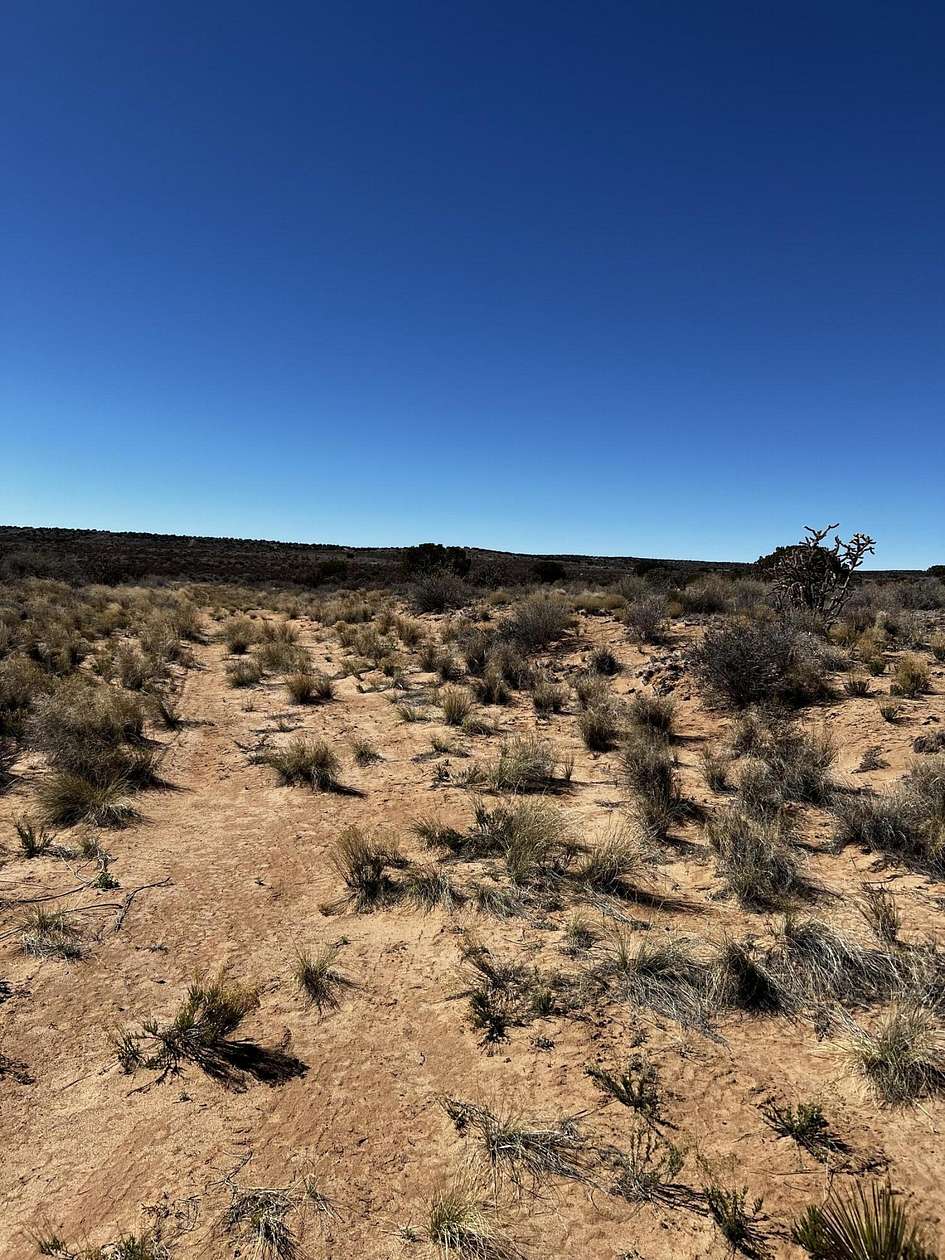 0.5 Acres of Residential Land for Sale in Rio Rancho, New Mexico