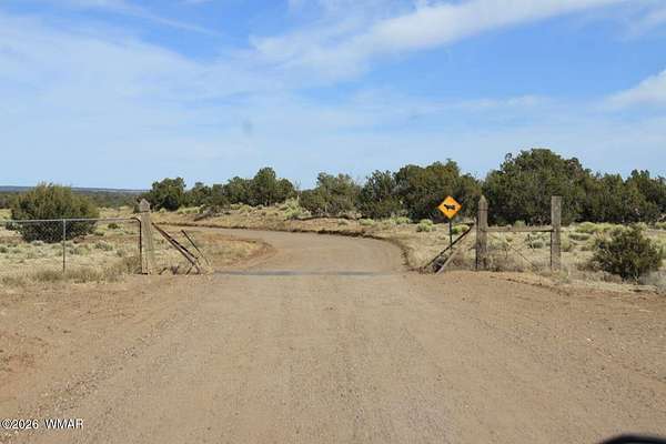 72.6 Acres of Land for Sale in St. Johns, Arizona