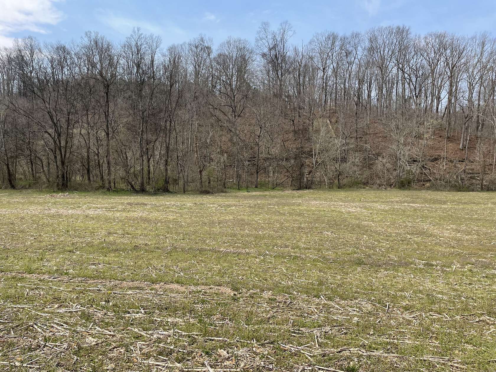 5.6 Acres of Residential Land for Sale in Westmoreland, Tennessee