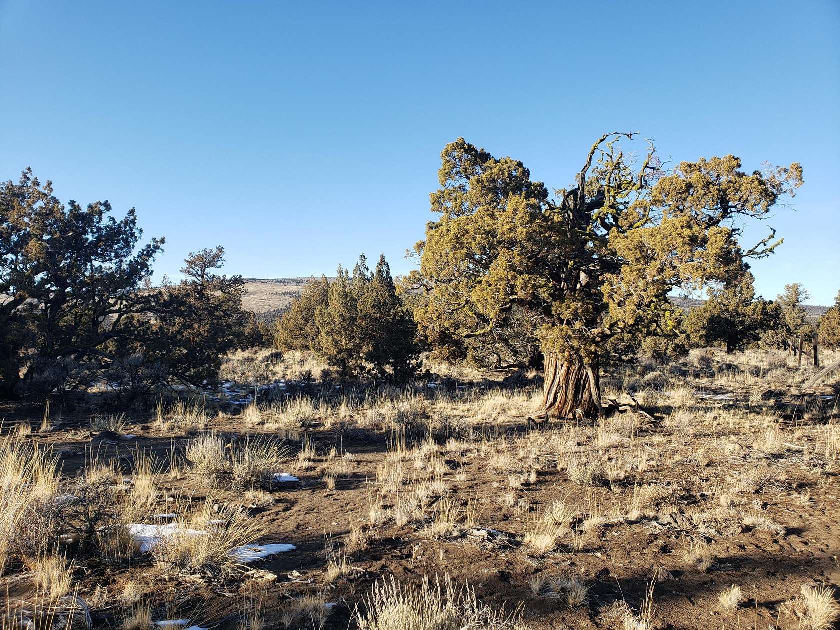 25 Acres of Recreational Land for Sale in Bend, Oregon