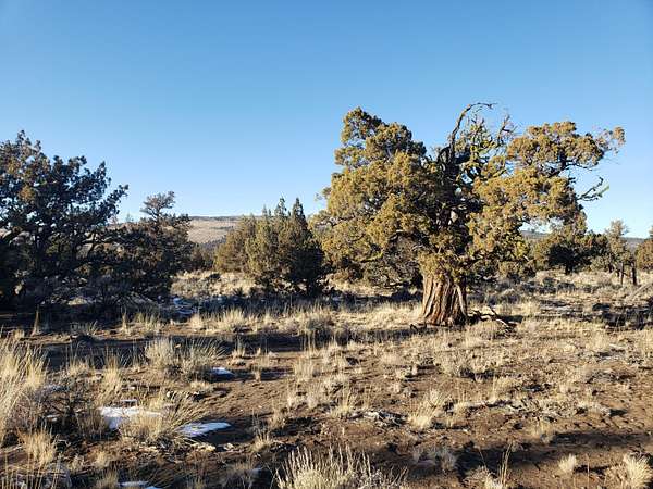 25 Acres of Recreational Land for Sale in Bend, Oregon