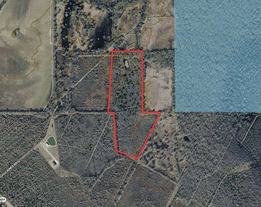38.5 Acres of Recreational Land for Sale in Columbia, Louisiana