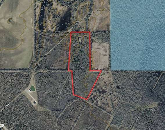 38.5 Acres of Recreational Land for Sale in Columbia, Louisiana