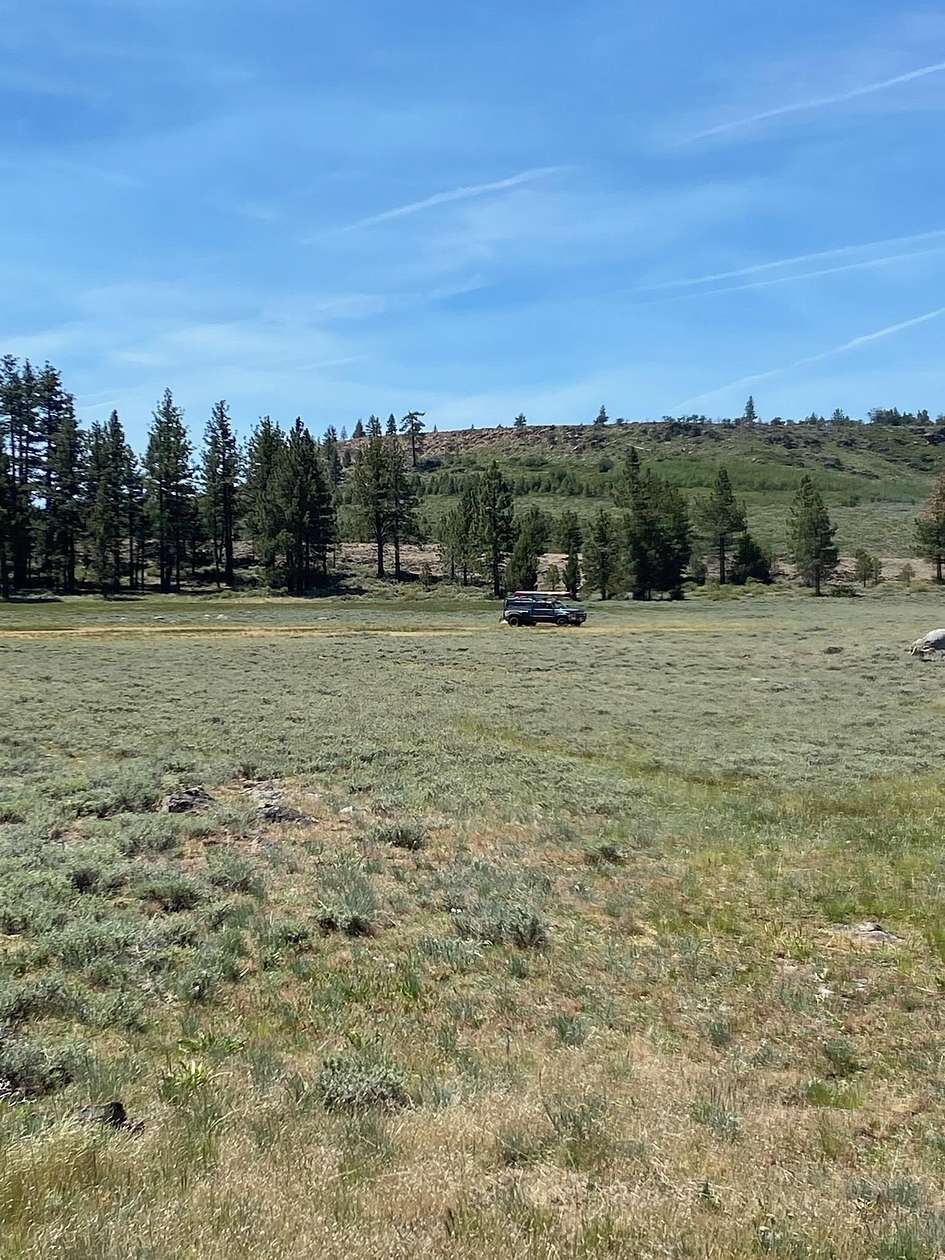 136 Acres of Recreational Land for Sale in Chilcoot, California