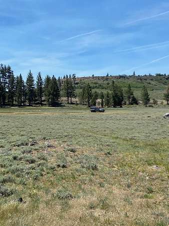 136 Acres of Recreational Land for Sale in Chilcoot, California