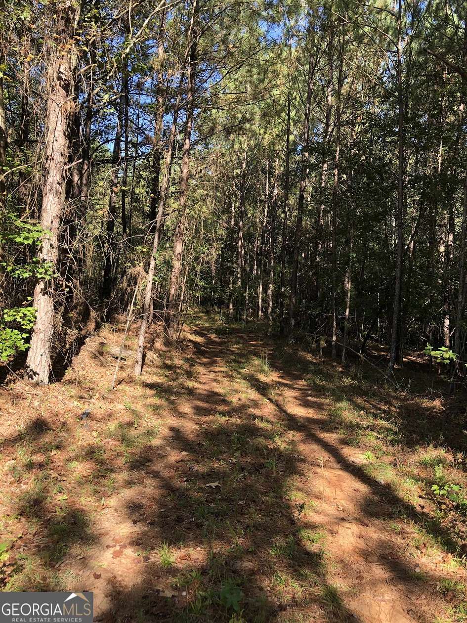 17.6 Acres of Land for Sale in Conyers, Georgia