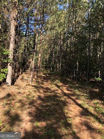 17.6 Acres of Land for Sale in Conyers, Georgia