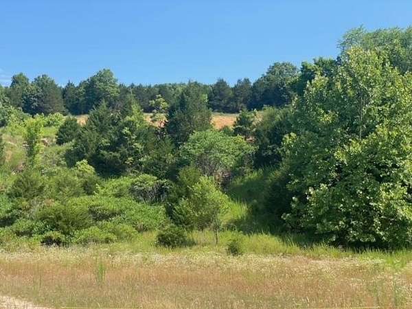 50 Acres of Land for Sale in Galena, Missouri