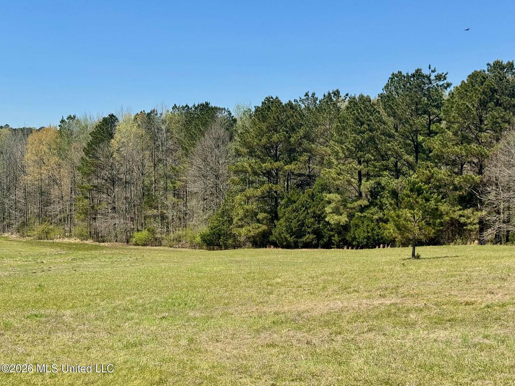 6.4 Acres of Residential Land for Sale in Flora, Mississippi