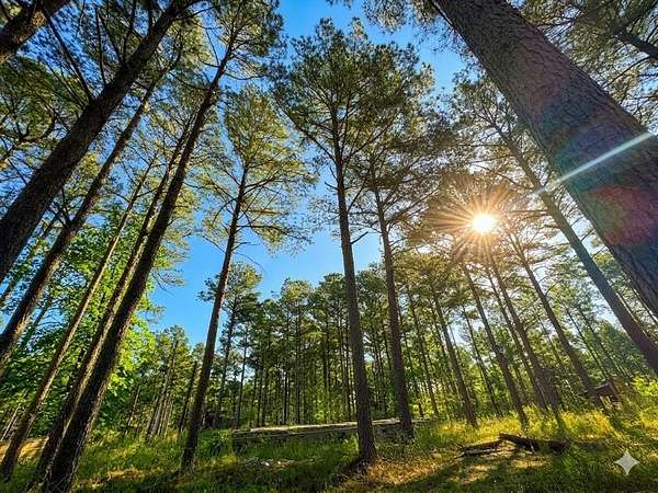 1.39 Acres of Residential Land for Sale in Broken Bow, Oklahoma