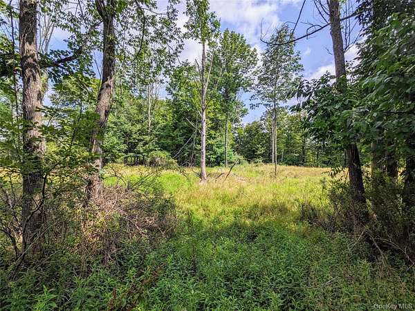 1.64 Acres of Mixed-Use Land for Sale in Kauneonga Lake, New York